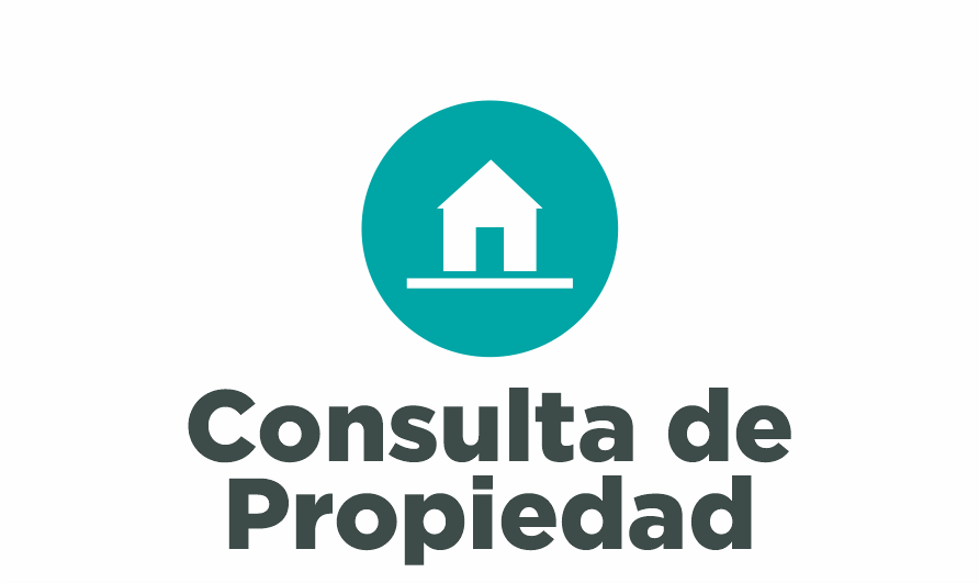 Servicios de consulta de propiedad