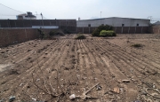 Miniatura 2 de Excepcional Terreno muy cerca a Av.Federico Villarreal