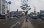 Miniatura 16 de Local Comercial en Av.Perú,Trujillo
