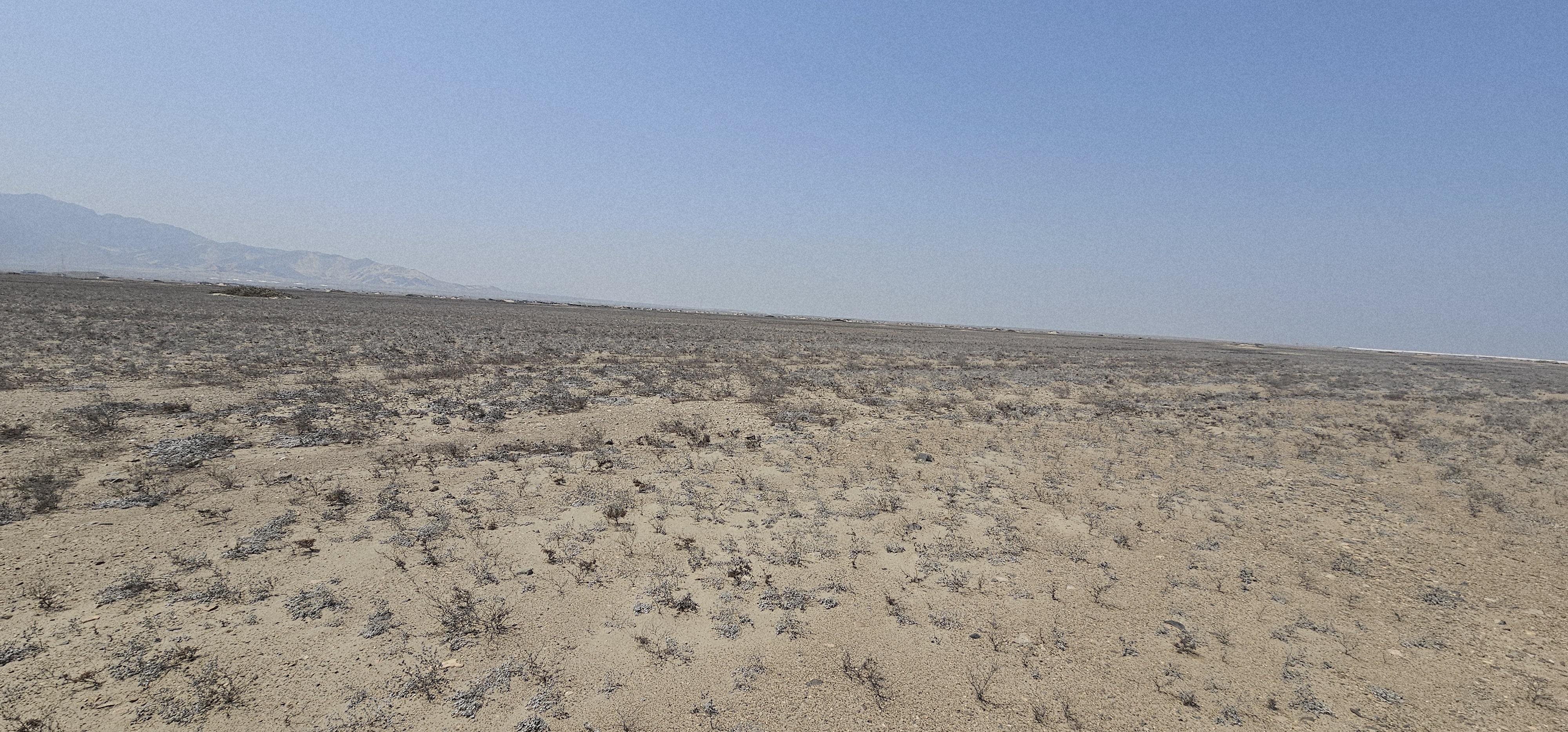 Terreno Agrícola de 140 Has en La Libertad: Inversión Estratégica con Potencial Agroexportador y Riego Chavimochic 3