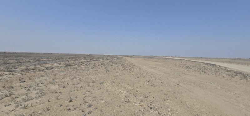 Terreno Agrícola de 140 Has en La Libertad: Inversión Estratégica con Potencial Agroexportador y Riego Chavimochic 3 Terreno Agrícola de 140 Has en La Libertad: Inversión Estratégica con Potencial Agroexportador y Riego Chavimochic 3