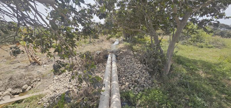 Terreno Rústico Premium en Moche: Vive, Produce e Invierte con Seguridad y Rentabilidad Terreno Rústico Premium en Moche: Vive, Produce e Invierte con Seguridad y Rentabilidad